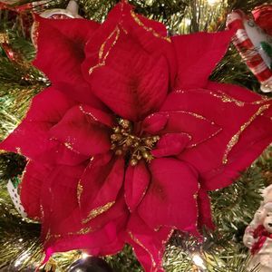 Meet your Posher, Trisha